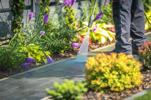 Best Soft Washing  in Dobbs Ferry, NY